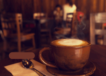 Caféer i Vejle – her finder du de bedste steder at nyde en kop kaffe